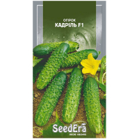 Огурец Кадриль F1 Seedera 10шт купить