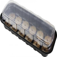 Мини-тепличка для рассады + 12 торфяных таблеток купить