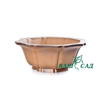 Вазон для бонсай купить