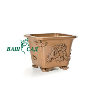 Вазон для бонсай купить