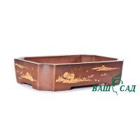 Вазон для бонсай купить