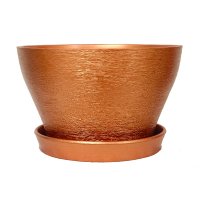 Бокарнейница люкс бронза купить