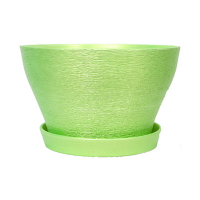 Бокарнейница люкс салат купить