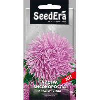 Астра высокорослая Краллен Сиам  0,25 г купить