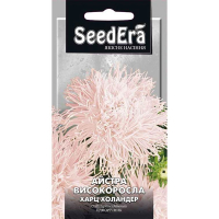 Астра высокорослая Харц Холандер  0,25 г купить