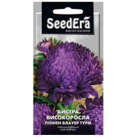 Астра высокорослая Пионен Блауер Турм 0.25г купить