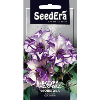 Датура махровая фиолетовая 5 шт. купить