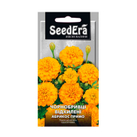 Бархатцы отклоненные Абрикос Примо 0.5г купить