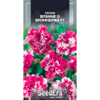Петунія бахромчаста великоквіткова низькоросла Вітання із Яромнержа F1 Seedera, 10 шт купить