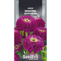 Цинния высокорослая элегантная Вишневая королева Seedera, 0,5 г купить