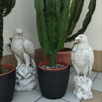 Садовая фигура Орел купить