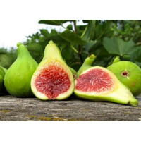 Инжир Карика Вердино купить