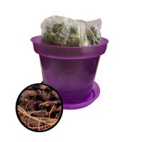 Комплект д/пересадки орхидей с субстратом, с поддоном, 130мм купить