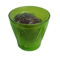 Комплект д/пересадки орхидей Аркада с субстатом 164мм купить