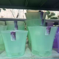 Орхидея 1,2л зелено-прозрачный купить