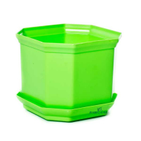 Вазон Дама, яблоко-10 купить