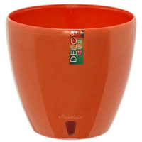 Деко Твин морковный 2,5 л купить