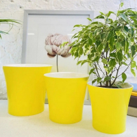 Донна 1,2л желто-белый купить