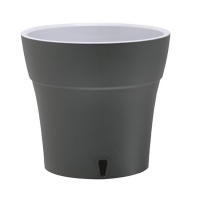 Дали антрацит 3,5л купить