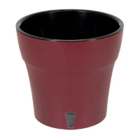 Дали бордовый-черный 2л купить