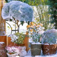 Зимнее хранение растений купить