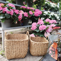 Корзина квадратная из морских трав CON-4300.2 28 см купить