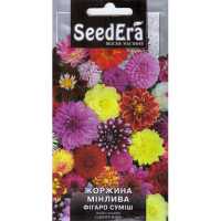 Георгина переменная Фигаро смесь Seedera, 0,5 г купить