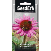 Эхинацея Пурпуровая  0,5г купить