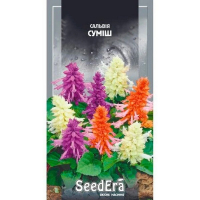 Сальвия блестящая смесь Seedera, 0,2 г купить