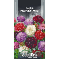 Скабиоза низкорослая махровая смесь Seedera, 0,1 г купить