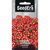 Вербена гібридна Скарлет 0,2 г купить