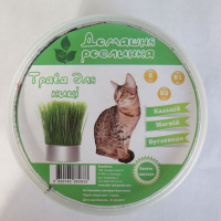 Трава для котов купить