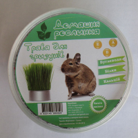 Трава для грызунов купить
