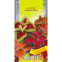 Колеус Стандарт смесь Seedera, 0,1 г купить