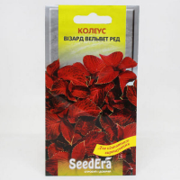 Колеус Визард Вельвет Ред Seedera, 10 шт купить