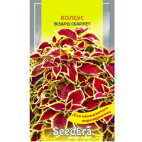 Колеус Визард Скарлет Seedera, 10 шт купить