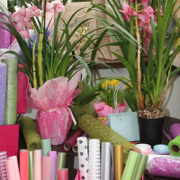 Подарочная упаковка растений 100 купить