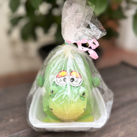 Травянчик Дракоша купить