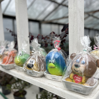 Травянчик Пингвин купить