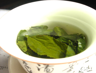 http://www.vashsad.ua/rus/uploads/posts/2009-02/1235315913_20080417-green-tea.jpg